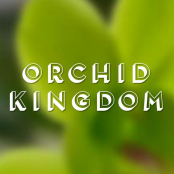 Orchid Kingdom
